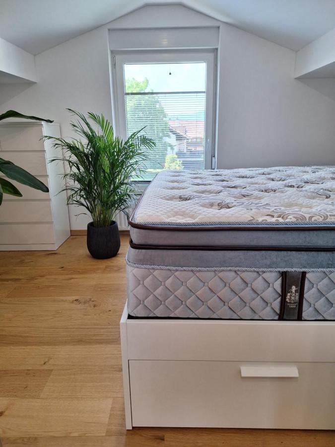 Guesthouse Flower Ljubljana Ngoại thất bức ảnh